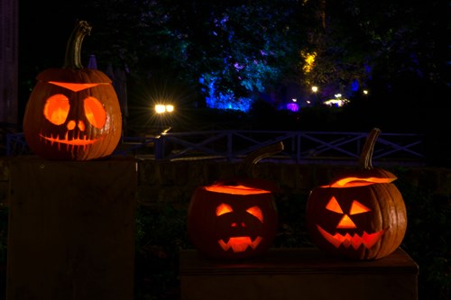 Pumpkins and lights as a minimalist Halloween decoration